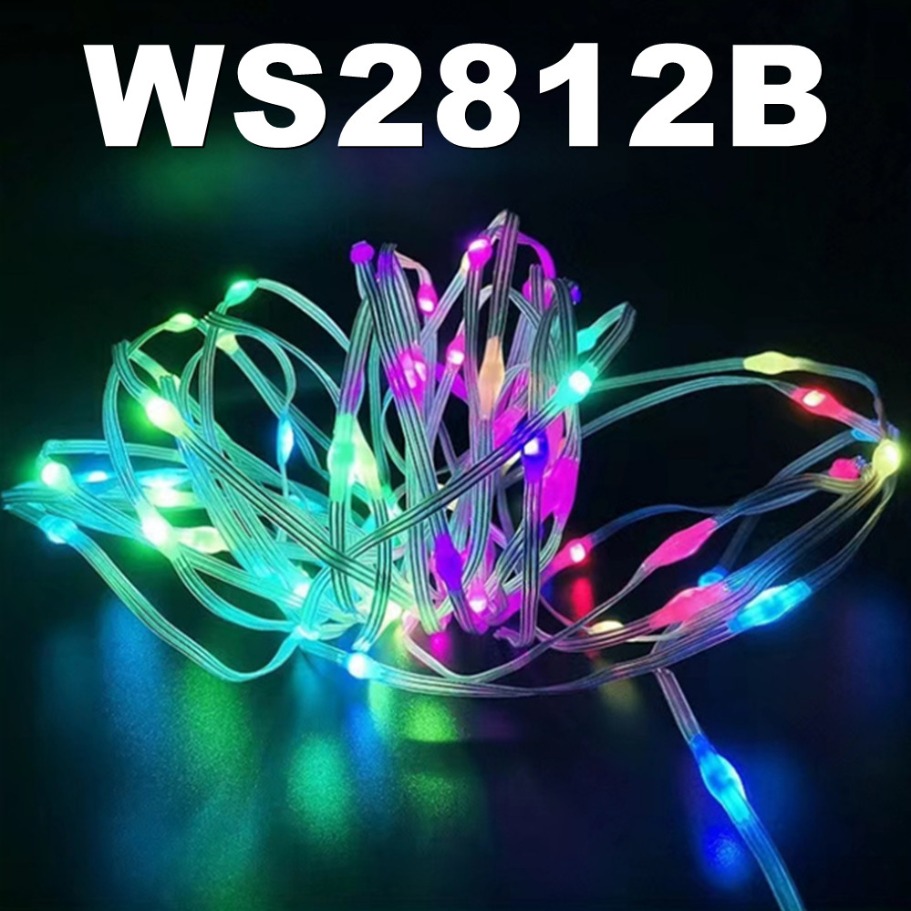 Lampki LED WS2812B Inteligentn – Smart Home Diy recenzja i cena